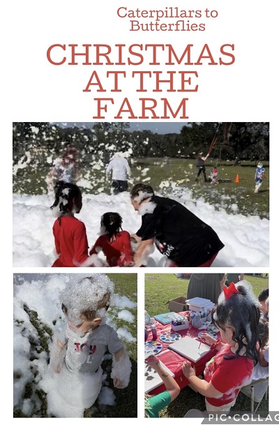 christmas at the farm